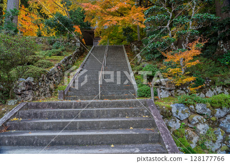 Photographing Koyasan Shingon sect Mantokuji Temple in Obama City, Fukui Prefecture, in the height of autumn foliage 128177766