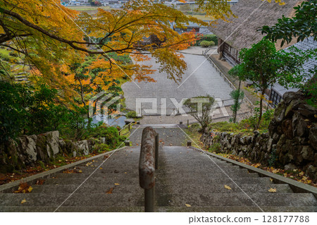 秋葉最盛時節，拍攝福井縣小濱市高野山真言宗萬德寺 128177788