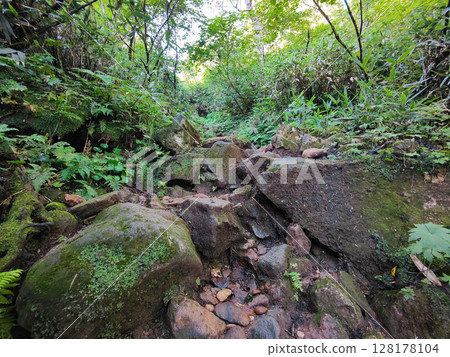 Climbing Mt. Myoko in summer (Tsubame Trail: Munetsuki Hachicho) 128178104