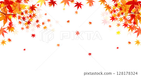  Autumn leaves maple autumn background 128178324