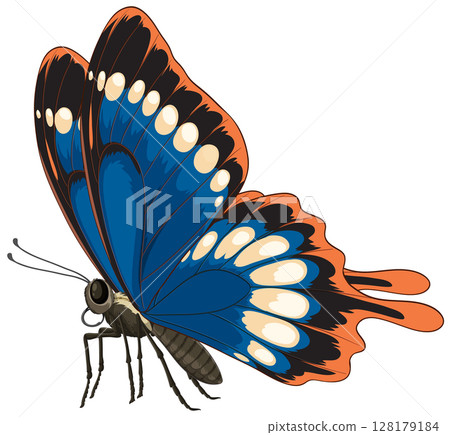 Vibrant Butterfly Vector Illustration with Bold Colors Vibrant Butterfly Vector Illustration with Bold Colors 128179184
