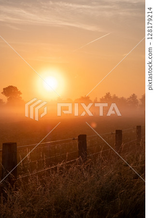 The Serene Sunrise Unfolds Over Beautiful and Misty Fields in the Early Morning Light 128179214