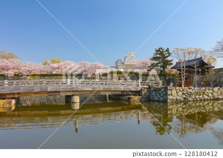 Himeji Castle, a "World Heritage Site" and "National Treasure", with its Sakuramon Gate and cherry blossoms in full bloom / 100 Views of the Heisei Era / 100 Best Cherry Blossom Spots in Japan / 100 Famous Castles in Japan 128180412
