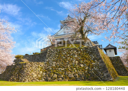 Echizen Ono Castle's Keep and Cherry Blossoms/Japan's Top 100 Castles/Castle in the Sky 128180448