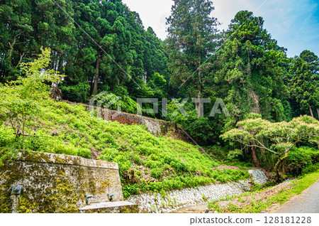 比叡山坂本纜車坂本站附近的山林風景 128181228