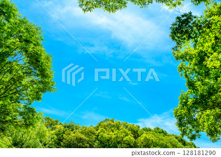 美麗的藍天和新鮮的綠色背景材料框架邊框背景圖像背景白天顏色 美麗的藍天和新鮮的綠色背景材料框架邊框背景圖像背景白天顏色 128181290