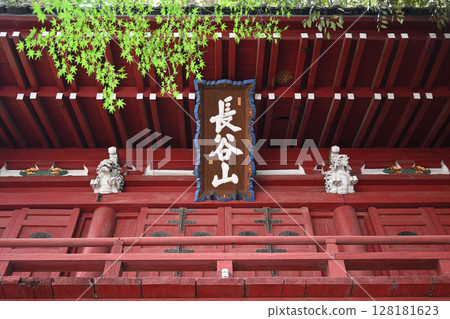 Niomon Gate at Haseyama Hondo-ji Temple, a hydrangea temple in Matsudo, Chiba Prefecture 128181623