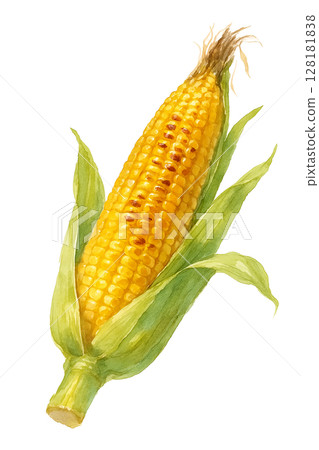 水彩插圖:烤玉米 水彩插圖:烤玉米 128181838