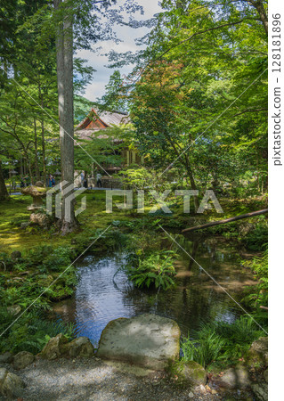 京都大原三千院庭院的夏日風景 128181896