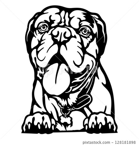 Dogue de Bordeaux Dog - Peeking Dog Breed - Pet Dog Vector Portrait, Dog Silhouette Stencil Dogue de Bordeaux Dog - Peeking Dog Breed - Pet Dog Vector Portrait, Dog Silhouette Stencil 128181898