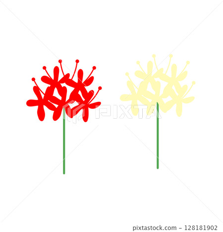 紅色和白色群集孤挺花的插圖 128181902