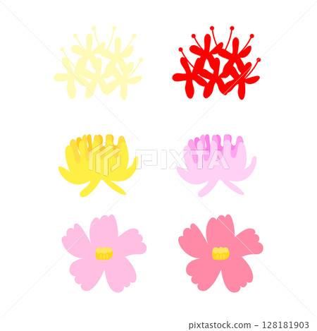 各種秋花的插圖 128181903