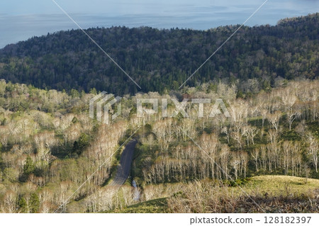 美幌倶倌 128182397