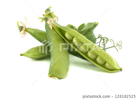 Freshly picked pea pods, bursting with plump, green peas, are a healthy, delicious food source. Freshly picked pea pods, bursting with plump, green peas, are a healthy, delicious food source. 128182525