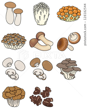 Mushroom icon set 128182544