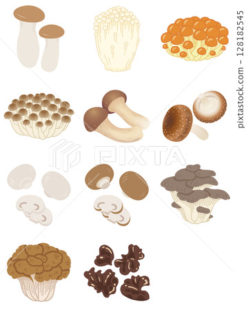 Mushroom icon set Mushroom icon set 128182545