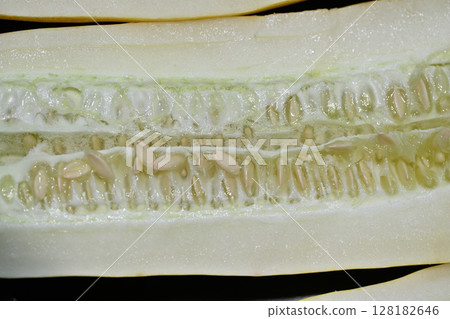 Cross section of next season's seed cucumber 128182646