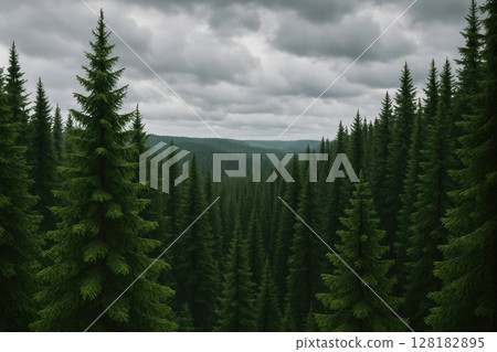 Dense evergreen forest under cloudy sky with towering pine trees and dramatic clouds stretching across a vast wilderness landscape, AI Generative Dense evergreen forest under cloudy sky with towering pine trees and dramatic clouds stretching across a vast wilderness landscape, AI Generative 128182895