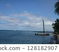 Hawaiian scenery 128182907