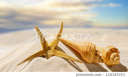 Starfish and seashells on a beautiful sandy beach with a sunset scene. Natural background. Summer concept 128183351