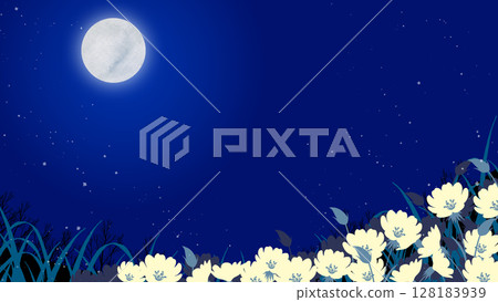 夜景插圖，有滿月和月見草花田 128183939