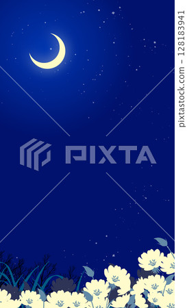 新月和月見草花田的夜景插圖 128183941