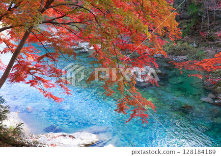 Beautiful clear streams and autumn leaves 128184189