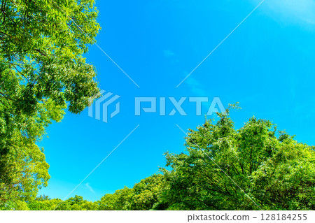 Beautiful blue sky and fresh green background material Frame Border Background Image Background 128184255