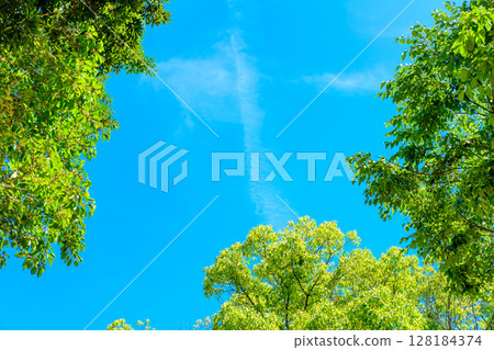Beautiful blue sky and fresh green background material Frame Border Background Image Background 128184374