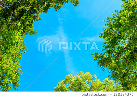Beautiful blue sky and fresh green background material Frame Border Background Image Background 128184375