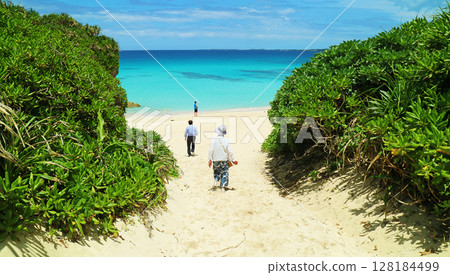 The road leading to the sandy beach 128184499