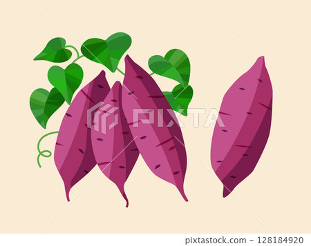 秋季蔬菜:帶葉紅薯的插圖 秋季蔬菜:帶葉紅薯的插圖 128184920