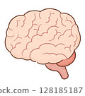 Simple Brain (Color) 128185187