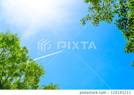 Beautiful blue sky and fresh green background material, contrail, frame, background image, background Beautiful blue sky and fresh green background material, contrail, frame, background image, background 128185211