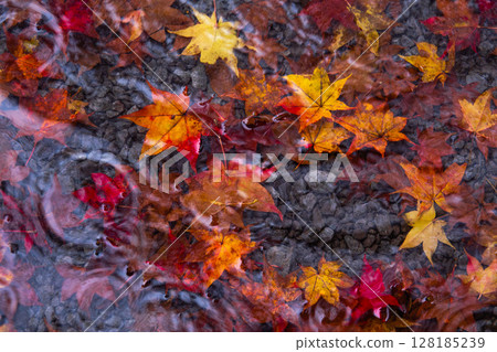 Water fountain and autumn leaves 128185239