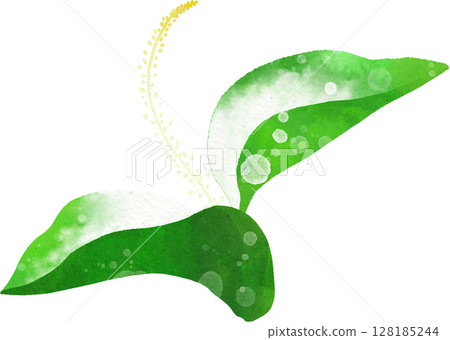 Hangeshoe的插畫素材 128185244