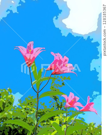 Blue sky and Himesa lilies (afr20240629091643) Blue sky and Himesa lilies (afr20240629091643) 128185367