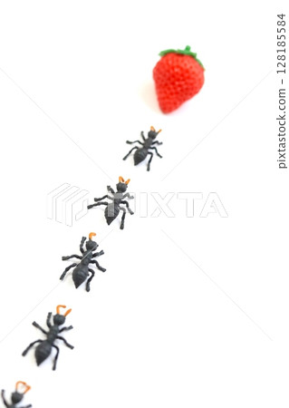 阿里的排 128185584