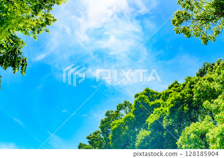美麗的藍天和新鮮的綠色背景材料框架邊框背景圖像背景 美麗的藍天和新鮮的綠色背景材料框架邊框背景圖像背景 128185904