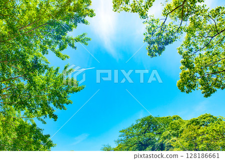 Beautiful blue sky and fresh green background material, contrail, frame, background image, background, daytime color 128186661
