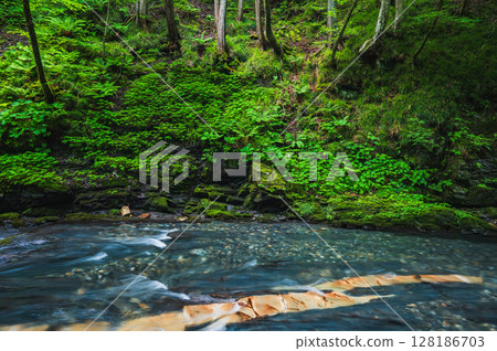 [Yokokawa Valley] Snake Stone of Yokokawa [Tatsuno Town, Kamiina District] 128186703