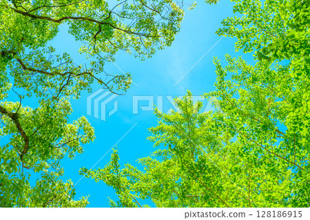 美麗的藍天和新鮮的綠色背景材料，軌跡，框架，背景圖像，背景 128186915