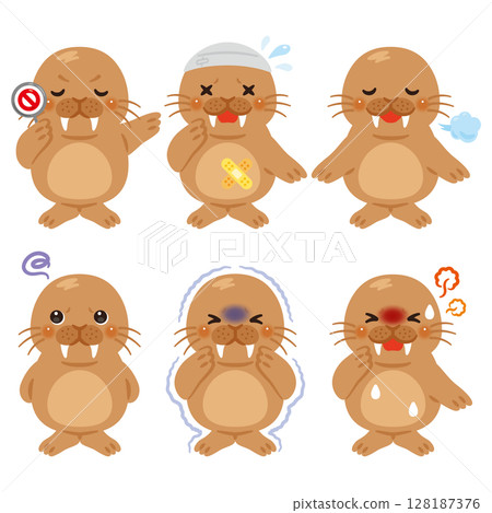 Walrus character illustration set in various states 128187376