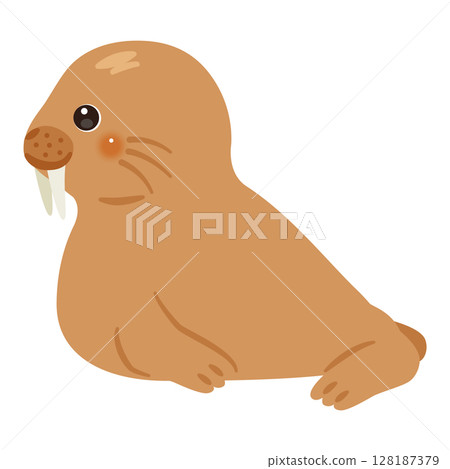 海象的側邊插圖 海象的側邊插圖 128187379