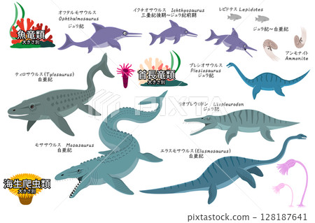 Dinosaurs by size: Set of marine reptiles, ichthyosaurs, and plesiosaurs 128187641