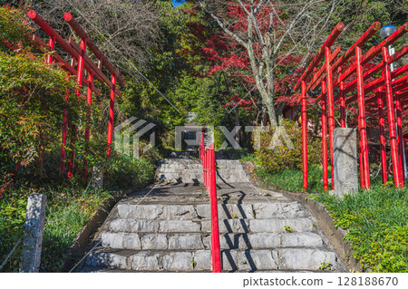 Scenery of autumn leaves at Gansui-dera Temple in Hamamatsu City (Shizuoka Prefecture) 128188670