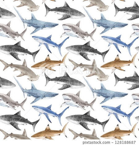 Seamless Watercolor Shark Pattern. Ocean Predator Illustration for Kids and Fabric 128188687
