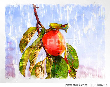 Illustration Persimmon Shibutani Autumn taste Japanese persimmon Domestic Fresh Refreshing Harvest Farmer Handmade Countryside Illustration Persimmon Shibutani Autumn taste Japanese persimmon Domestic Fresh Refreshing Harvest Farmer Handmade Countryside 128188704