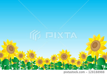 景觀與向日葵田與藍天 128188988