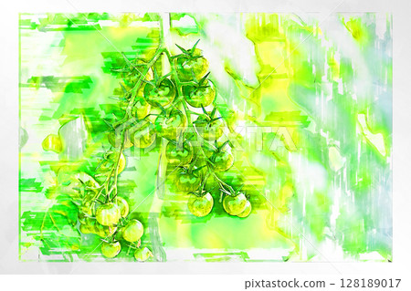Illustration Illustration style Tomato Cherry tomato Mini tomato Fruit tomato Handmade Greenhouse Illustration Illustration style Tomato Cherry tomato Mini tomato Fruit tomato Handmade Greenhouse 128189017